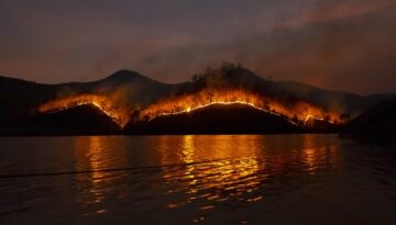 wildfire-g63e39de90_640