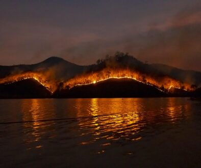 wildfire-g63e39de90_640