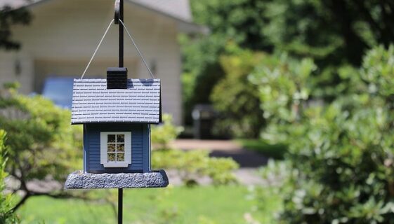 real estate ownership